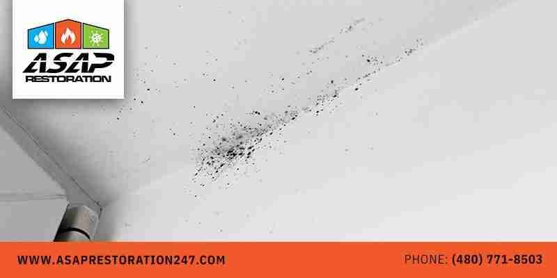 Water Damage Mitigation