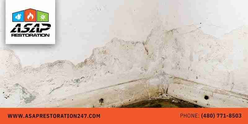 What Is Water Damage