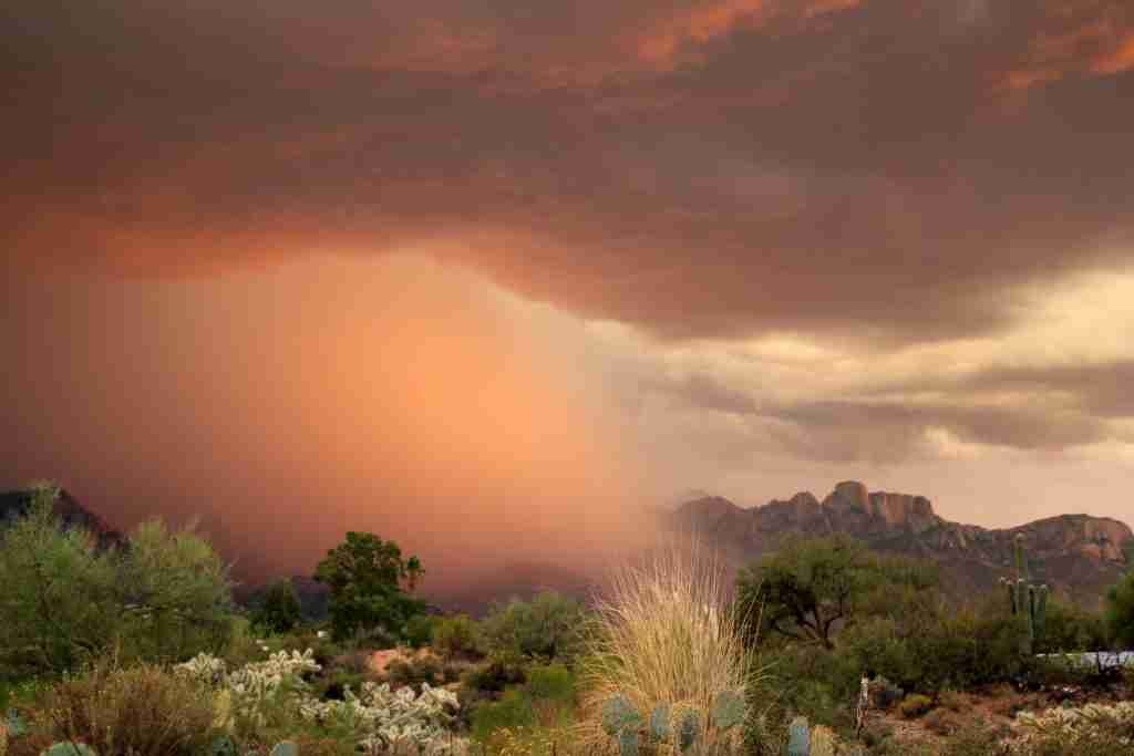 prepare for monsoon season in Arizona