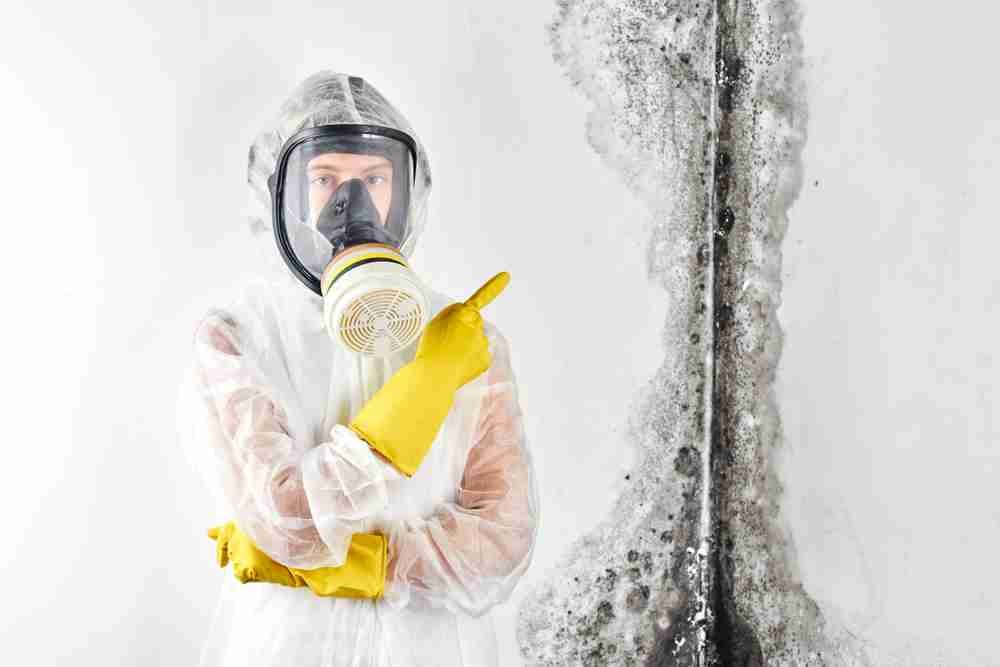 common misconceptions about black mold