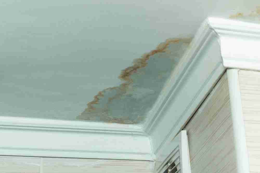 Water Damage Effects – Short and Long-Term