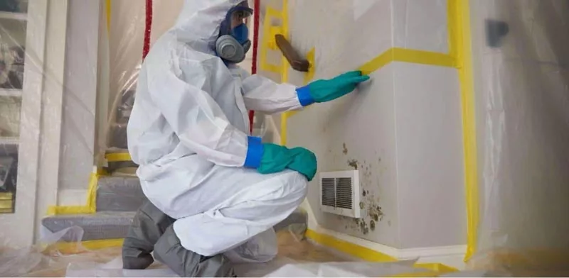 Technician removing mold toxicity from an air duct