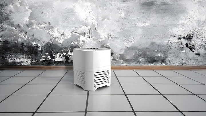 Can Air Purifiers Help with Mold