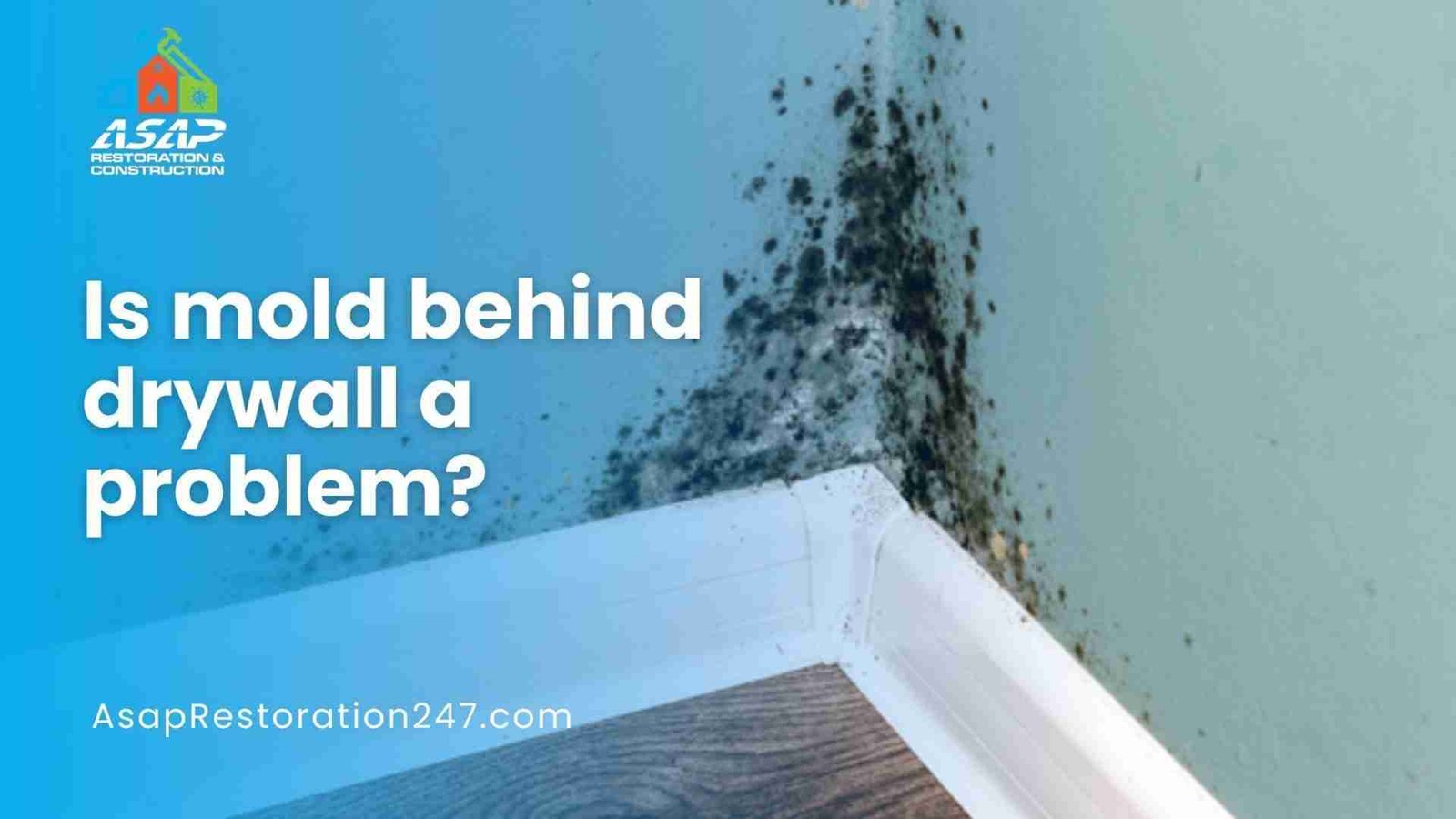 Is mold behind drywall a problem