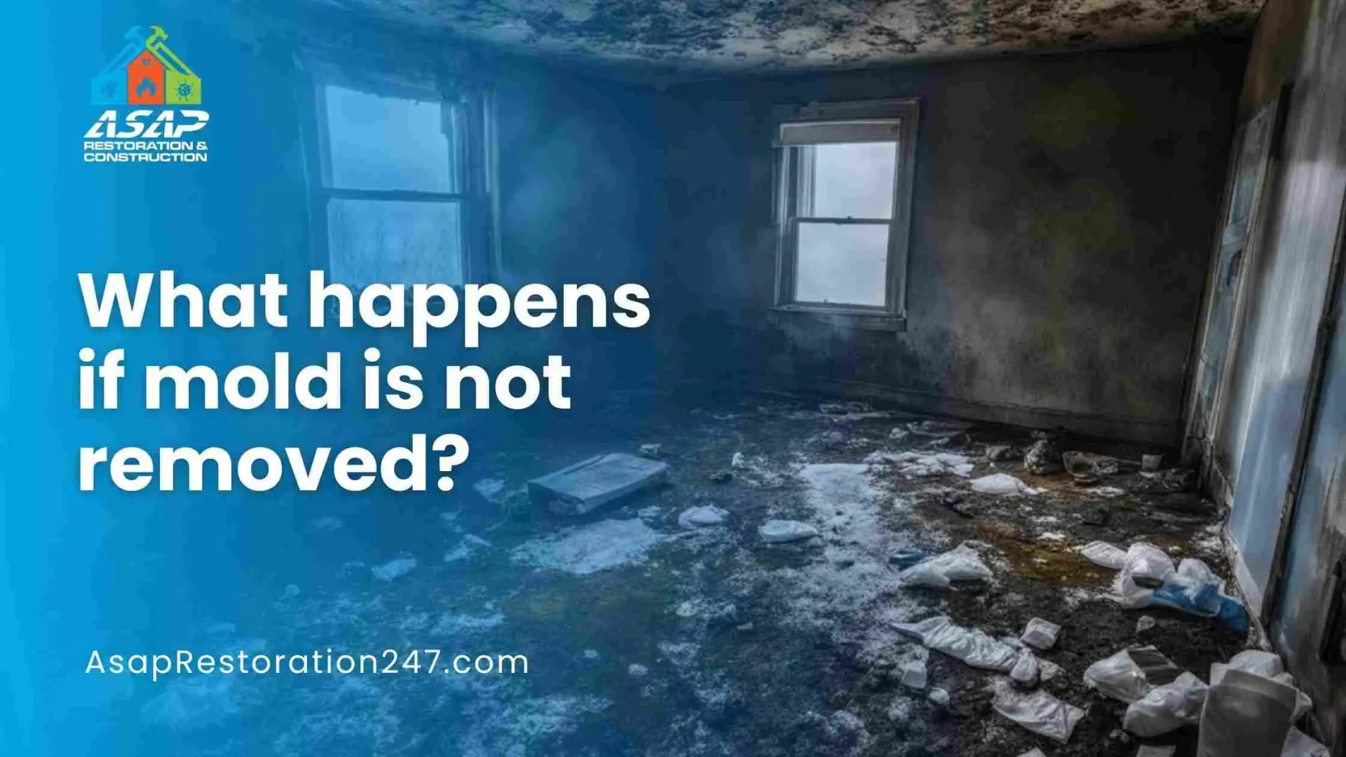 Whathappensifmoldisnotremoved-ezgif.com-jpg-to-webp-converter