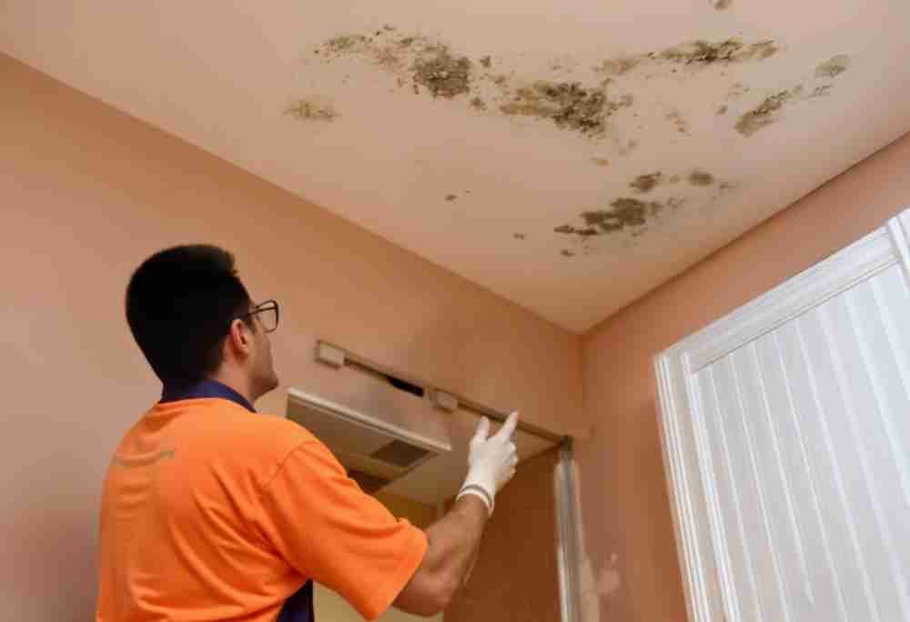 Does Water Damage Decrease Home Value