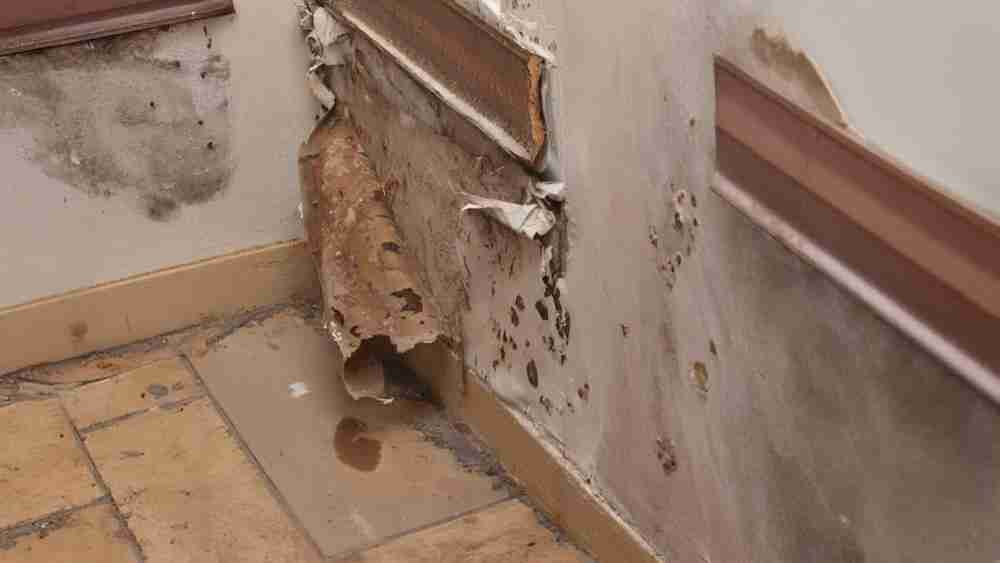 Wall Water Damage 6 Effects and Signs of Water Damage on Walls Due to Rain Exposure