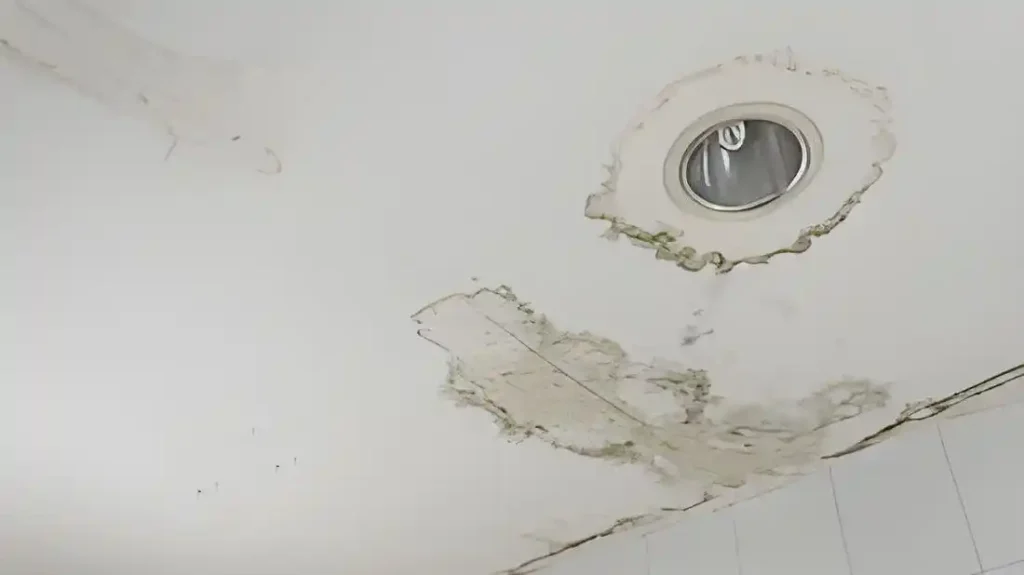 How Oregon Weather Affects Your Ceiling